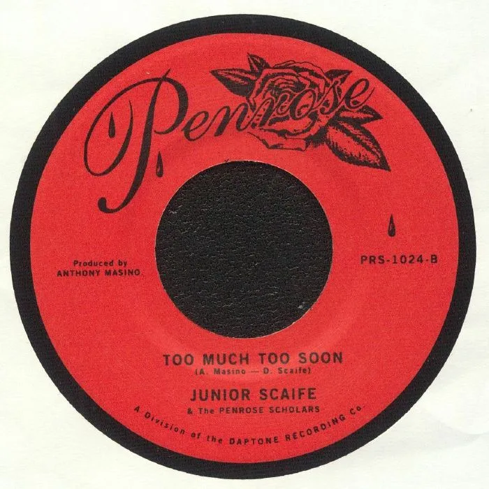 Back cover — Junior SCAIFE / THE PENROSE SCHOLARS — Nobody Gets My Love