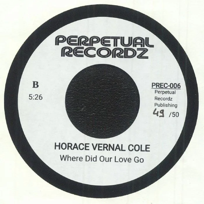Обратная сторона обложки — The VIG PROJECT / HORACE VERNAL COLE — Remember My Name