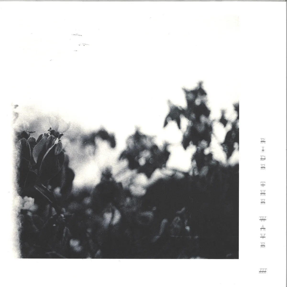 Various — RIDE THE WAVE III