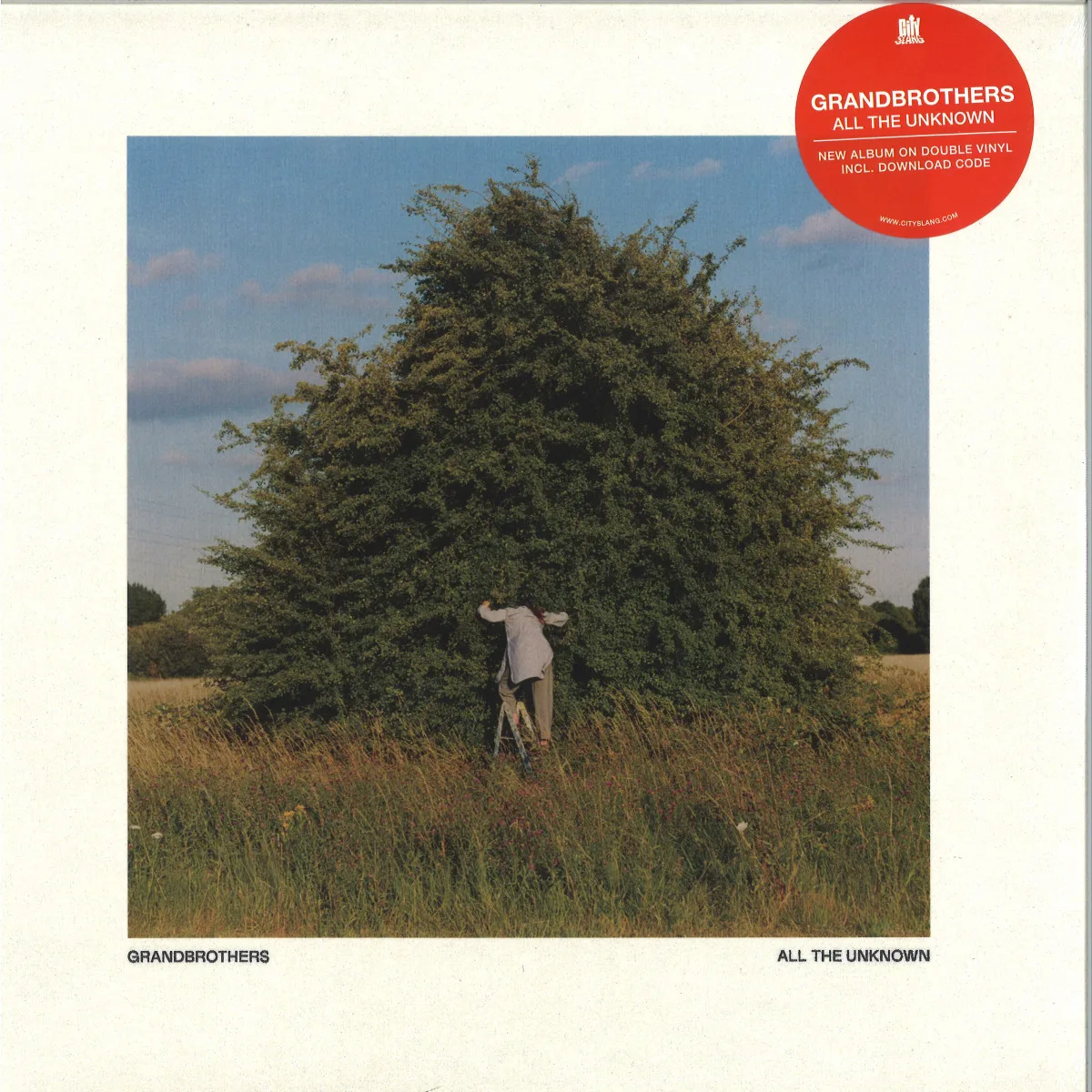 Front cover — Grandbrothers — All the Unknown
