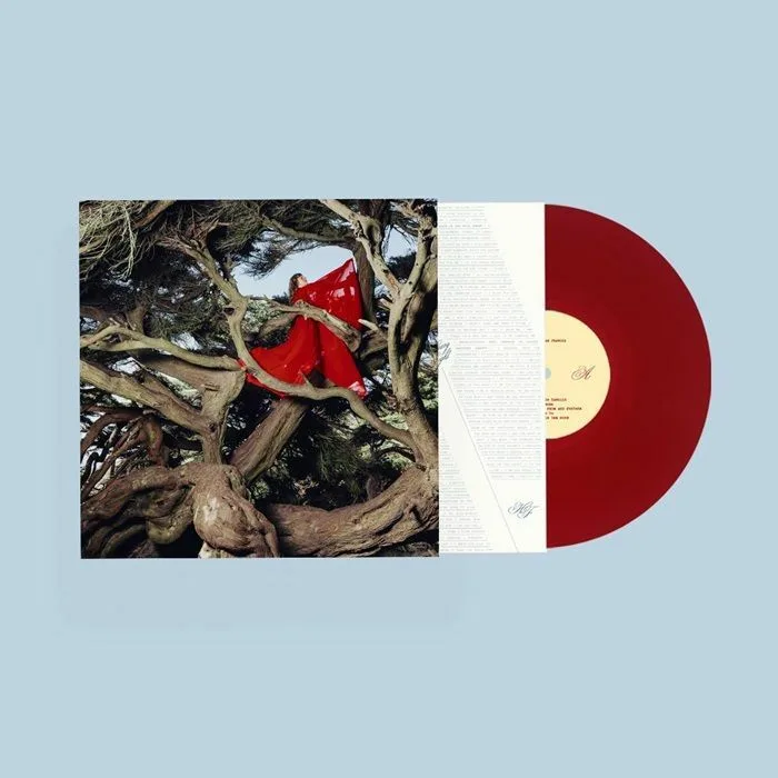 Front cover — Hannah FRANCES — Nested In Tangles