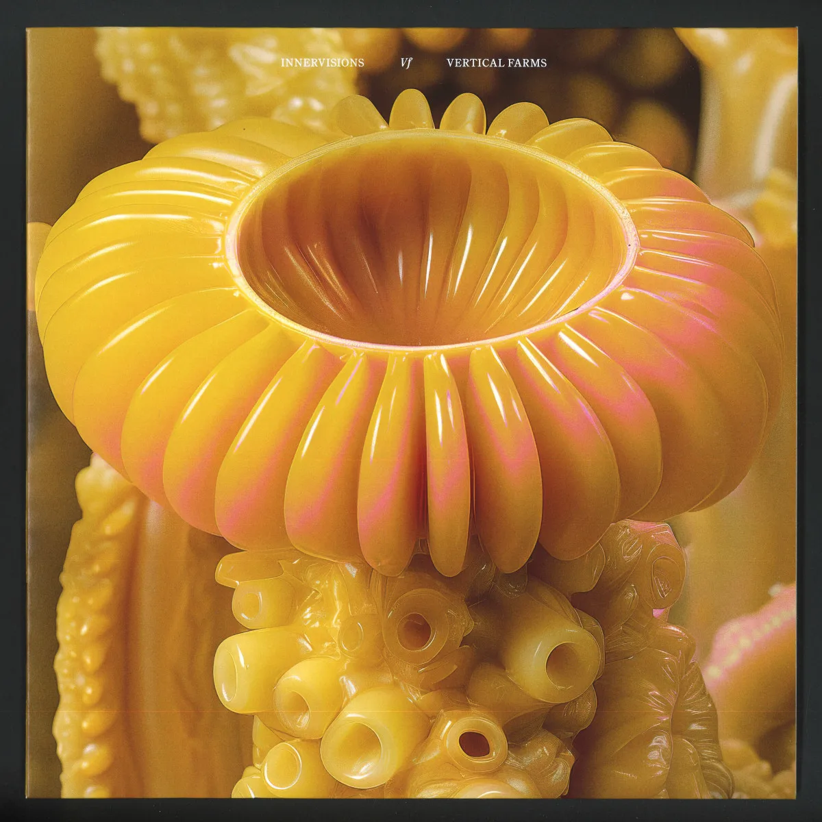Back cover — Âme — Asa