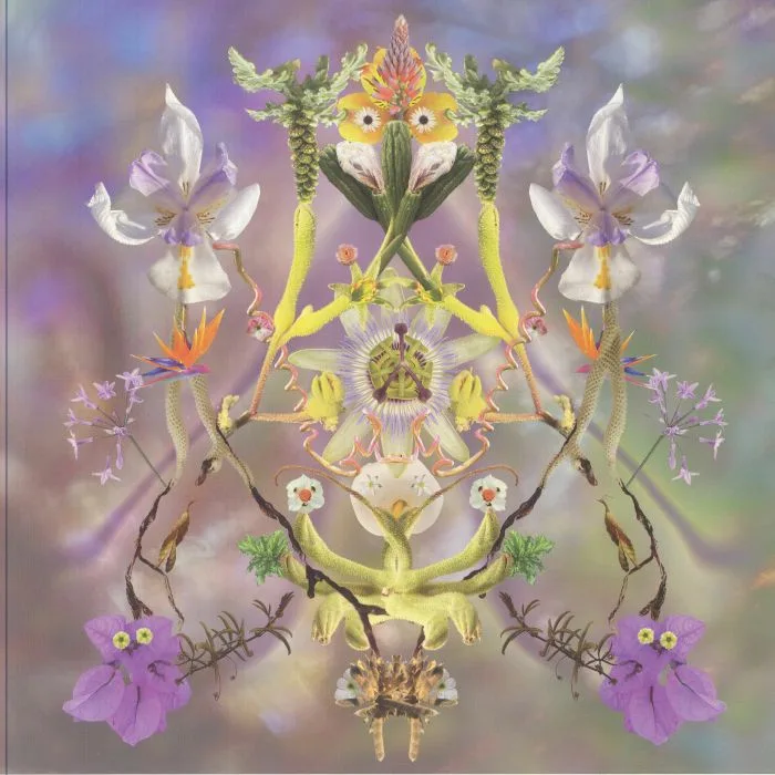 MAIBAUM — Sumer Is Icumen In