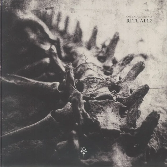 Front cover — SWARM INTELLIGENCE / BARK / AXKAN / DUELLIST / EAS / HATELOVE / OGMAH / CRYSTAL GEOMETRY — RITUAL12