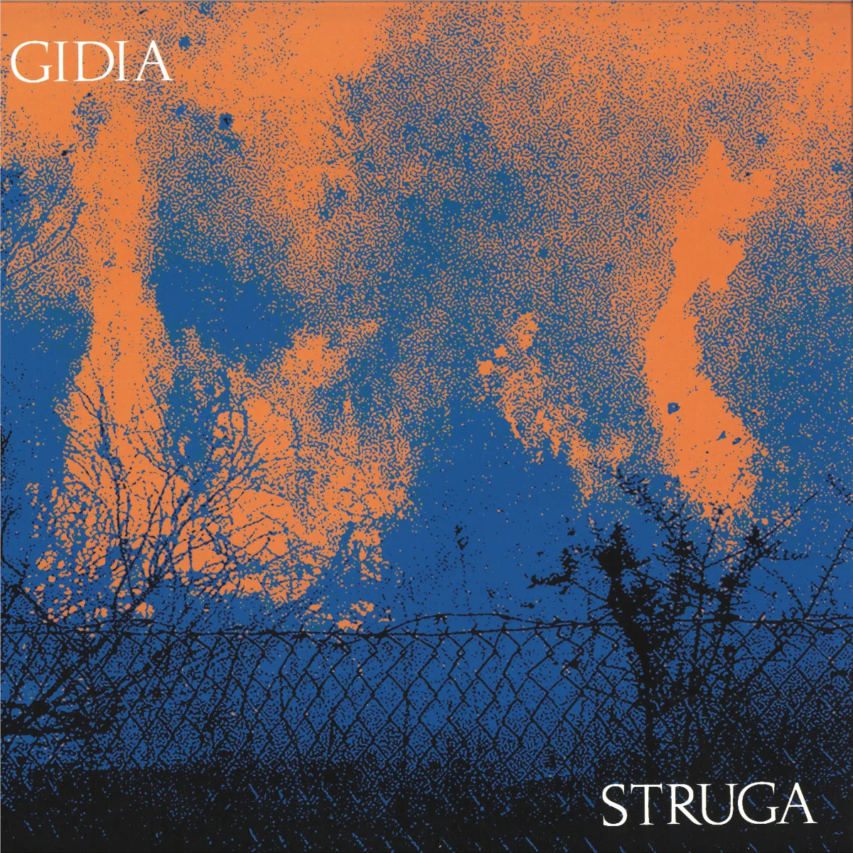 Лицевая сторона обложки — Gidia — STRUGA LP 2x12"