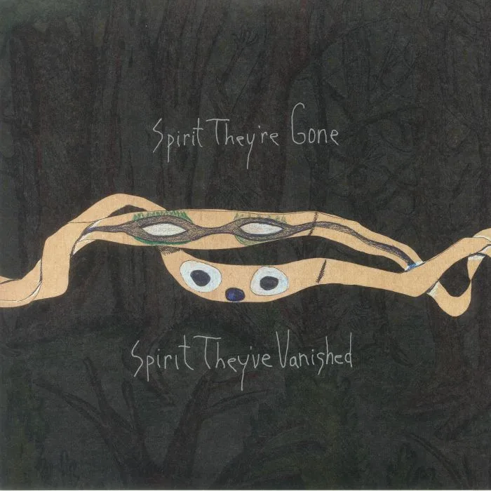 ANIMAL COLLECTIVE — Spirit They're Gone Spirit They've Vanished (remastered)