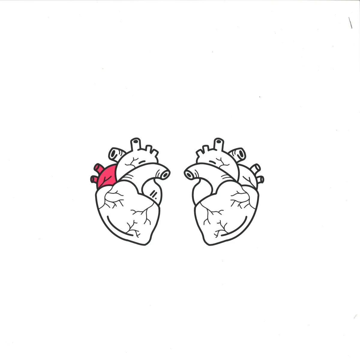 Лицевая сторона обложки — Pathagonia — Let Me Go