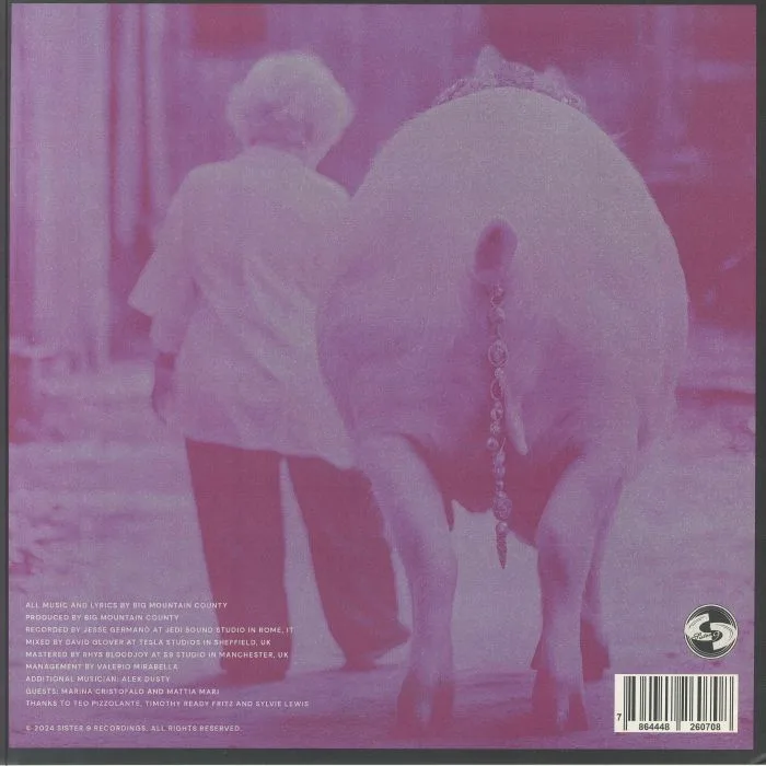 Обратная сторона обложки — BIG MOUNTAIN COUNTY — Deep Drives