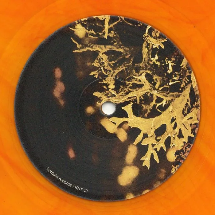 Лицевая сторона обложки — VAN BONN — Detached Trails