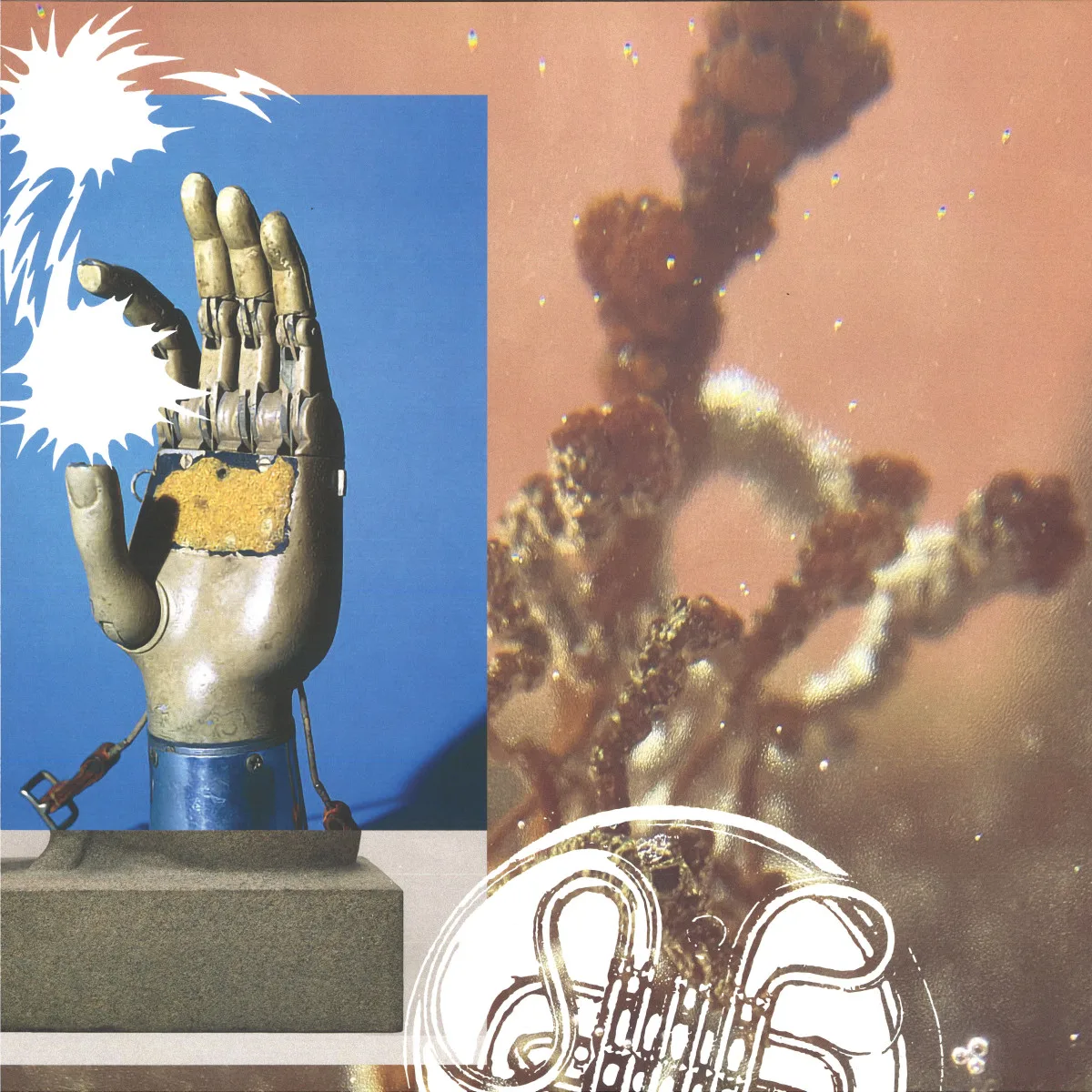 Lauer — Seventy Seven Zero Zero Seventy Seven