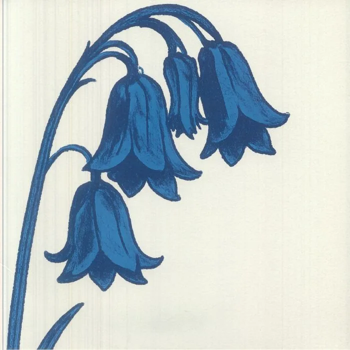 The BLUEBELLS — This Is The Bluebells