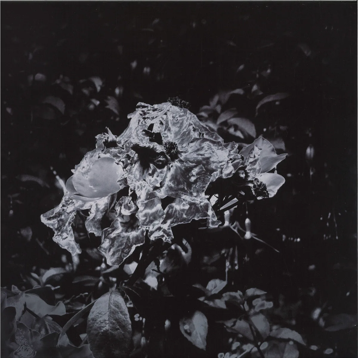 Unperson — The Ghosts That Gave EP