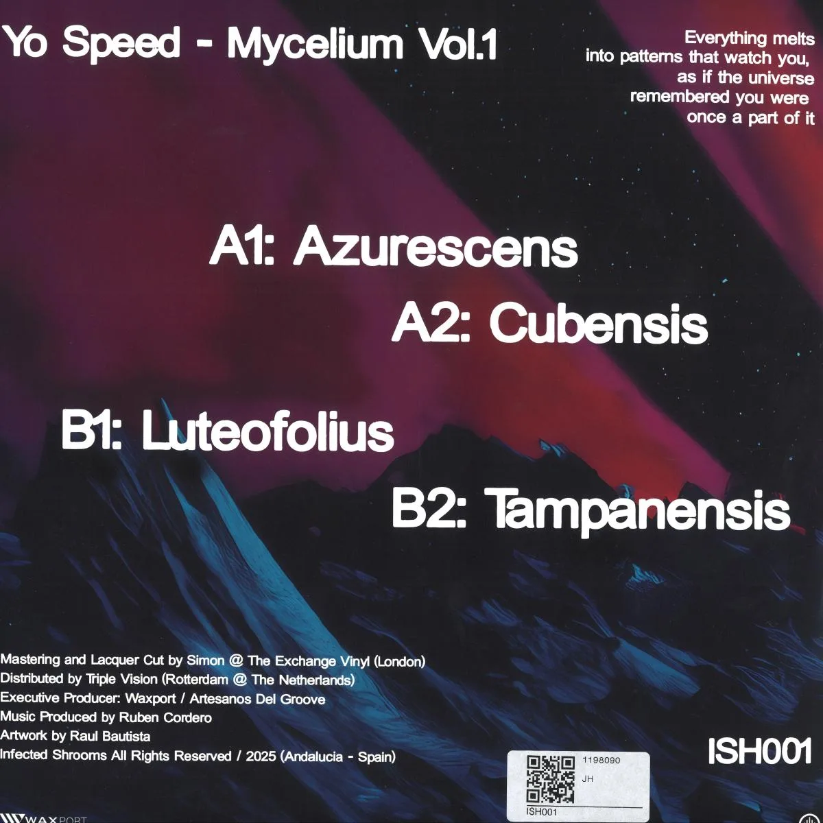 Обратная сторона обложки — Yo Speed — Mycelium Vol.1