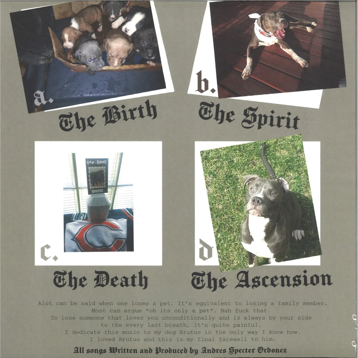 Back cover — Specter — Brutus LP 2x12"