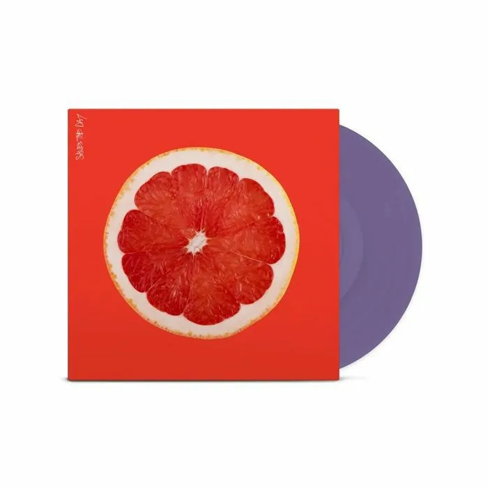 SAVES THE DAY — Saves The Day