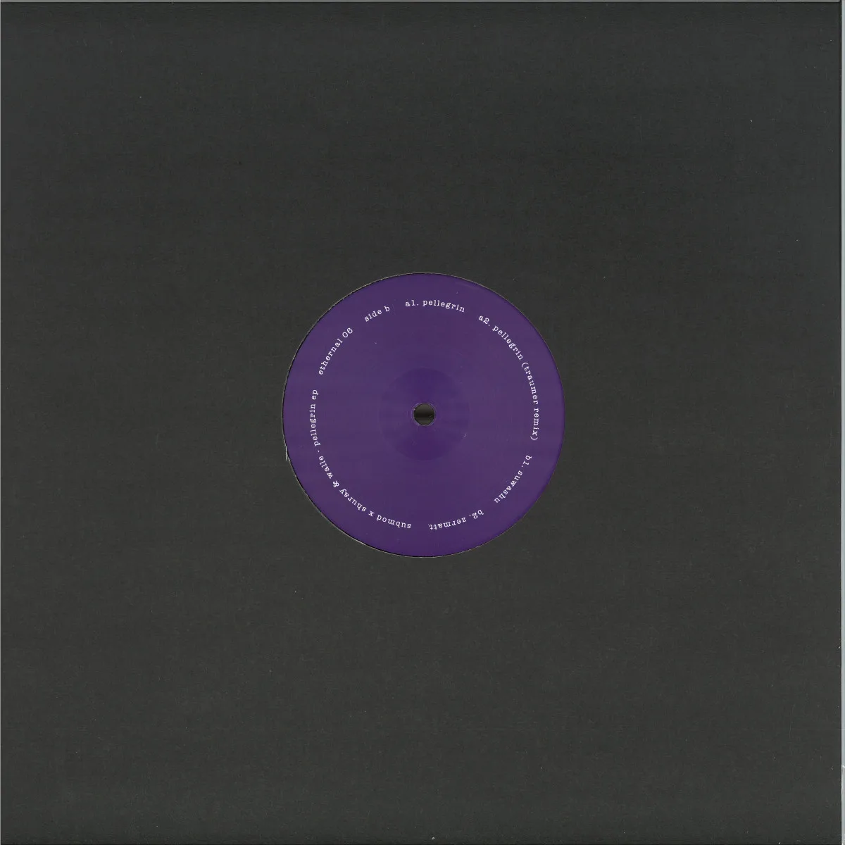 Back cover — Submod x Shuray Walle — Pellegrin EP