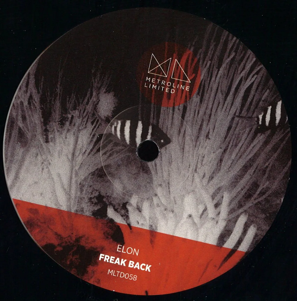 Elon — Freak Back
