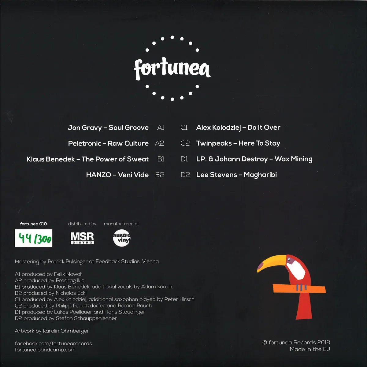 Обратная сторона обложки — Various — Fortunea 10 (2x12")