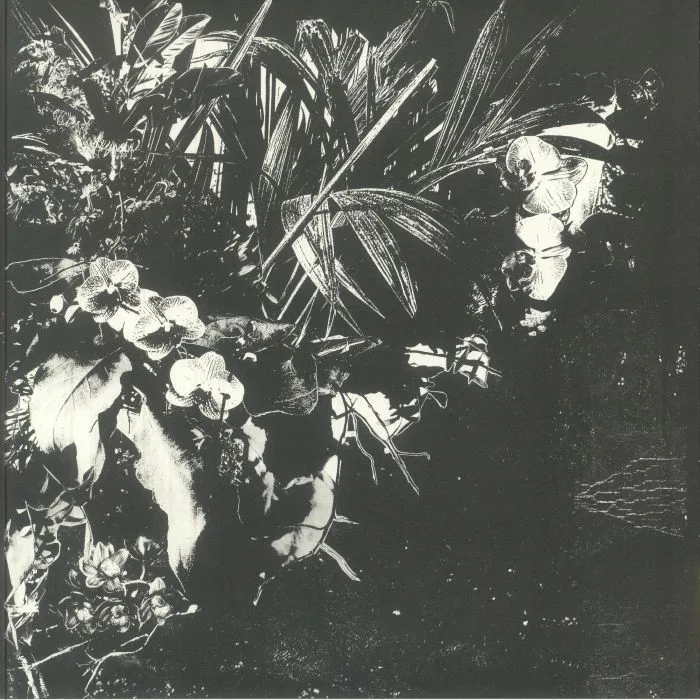 Jef MERTENS — Orchid Alto