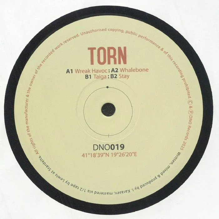 Back cover — TORN — Taiga EP