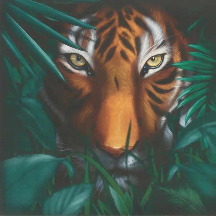 Front cover — A VISION OF PANORAMA — Unique Tiger
