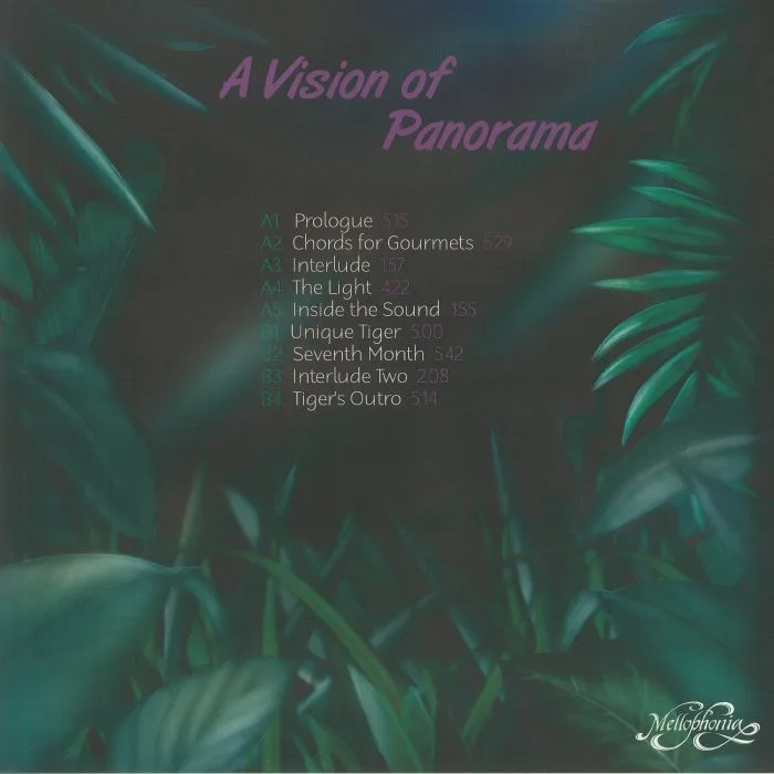 Back cover — A VISION OF PANORAMA — Unique Tiger