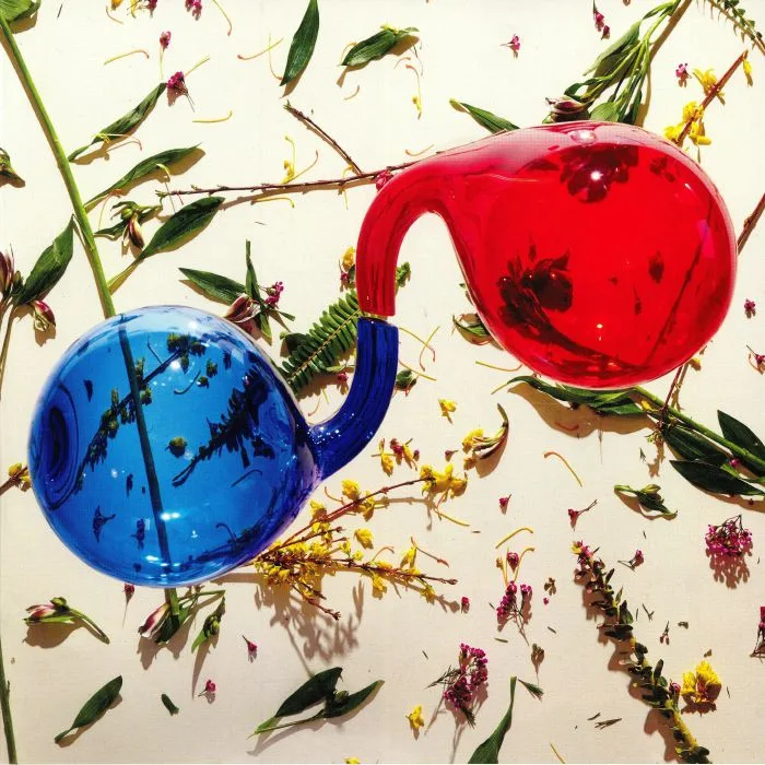 DIRTY PROJECTORS — Lamp Lit Prose (Deluxe Edition)