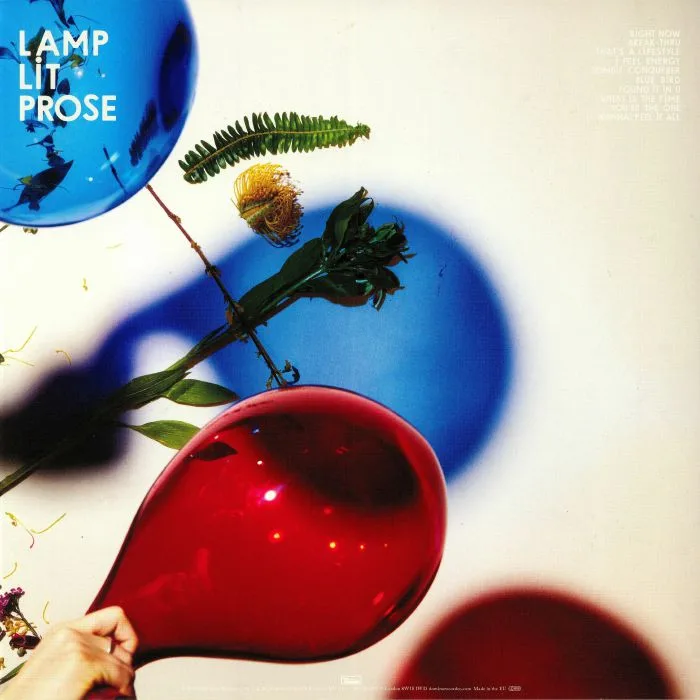 Back cover — DIRTY PROJECTORS — Lamp Lit Prose (Deluxe Edition)
