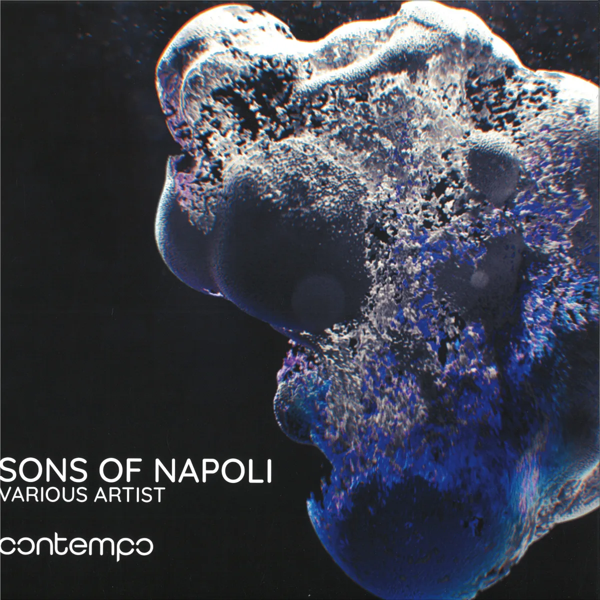 Various — Sons Of Napoli