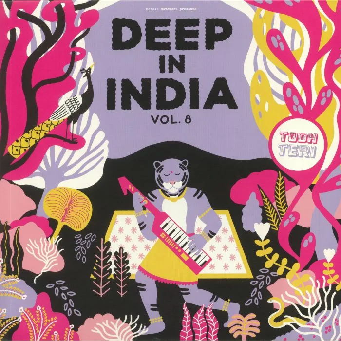 Лицевая сторона обложки — TODH TERI — Deep In India Vol 8
