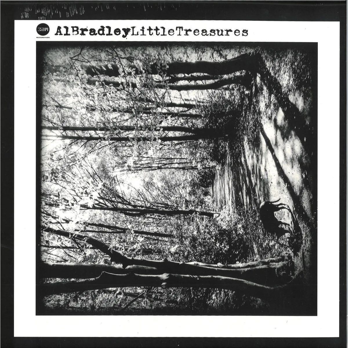 Al Bradley — Little Treasures LP (2x12")