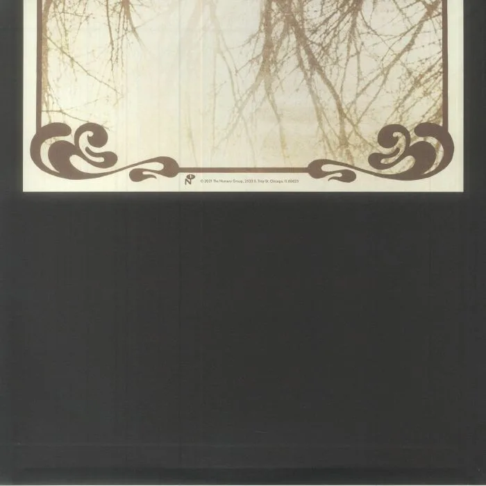 Back cover — BULBOUS CREATION — You Won't Remember Dying