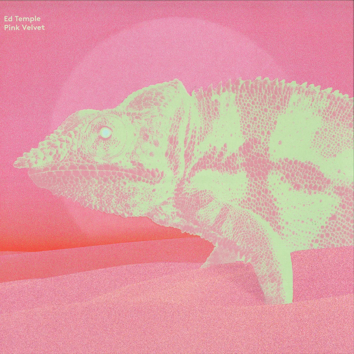 Ed Temple — Pink Velvet