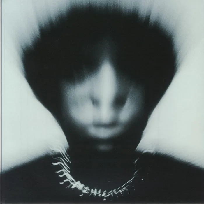 Back cover — GALLANT — Zinc