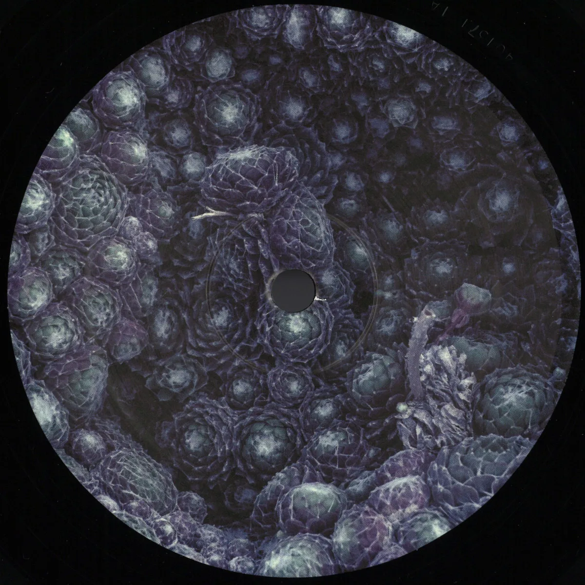 ORBE — Incremental