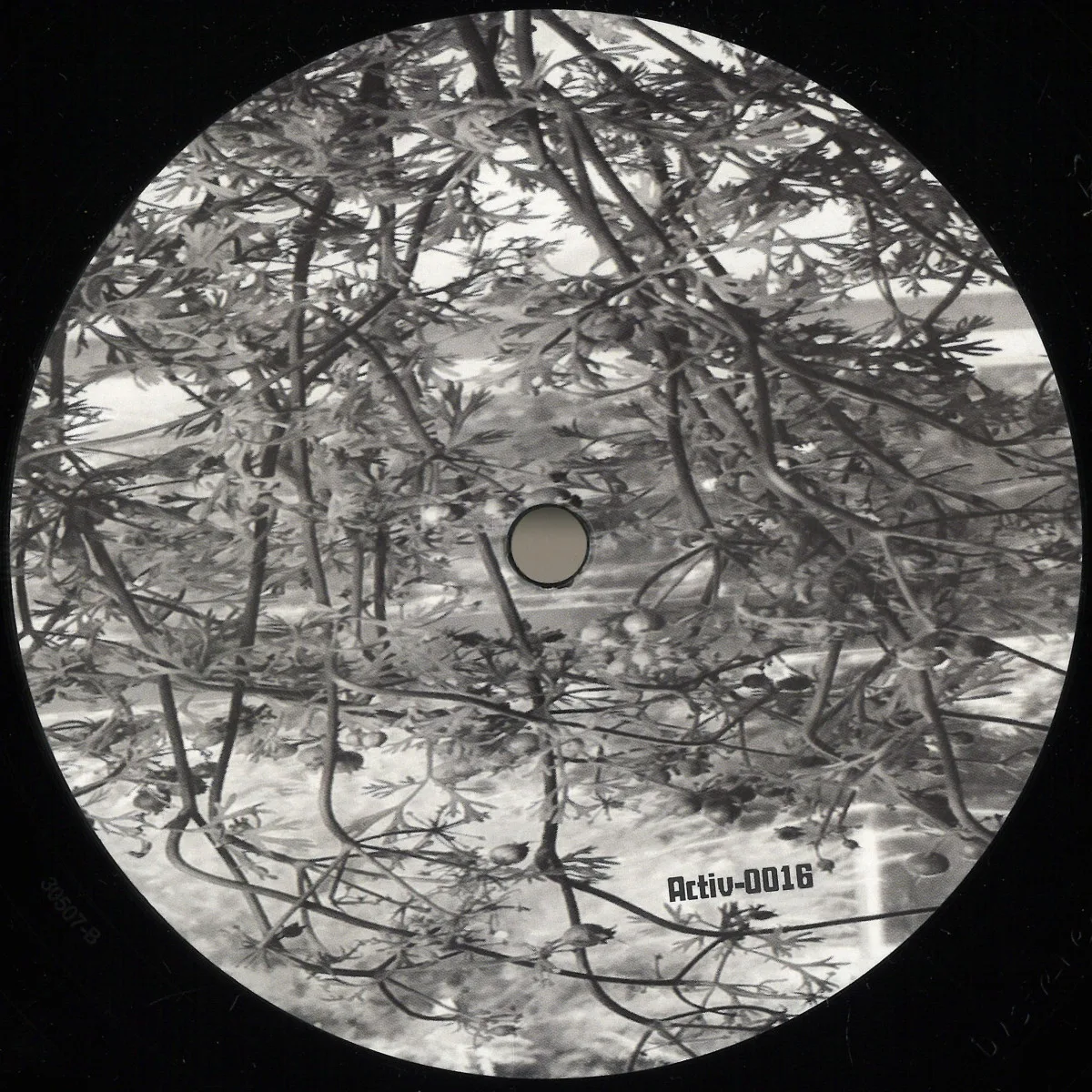 Лицевая сторона обложки — Activ-Analog — Lunar Garden