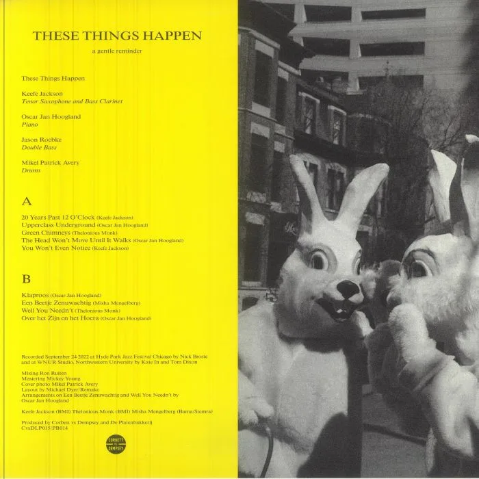 Обратная сторона обложки — THESE THINGS HAPPEN — A Gentle Reminder