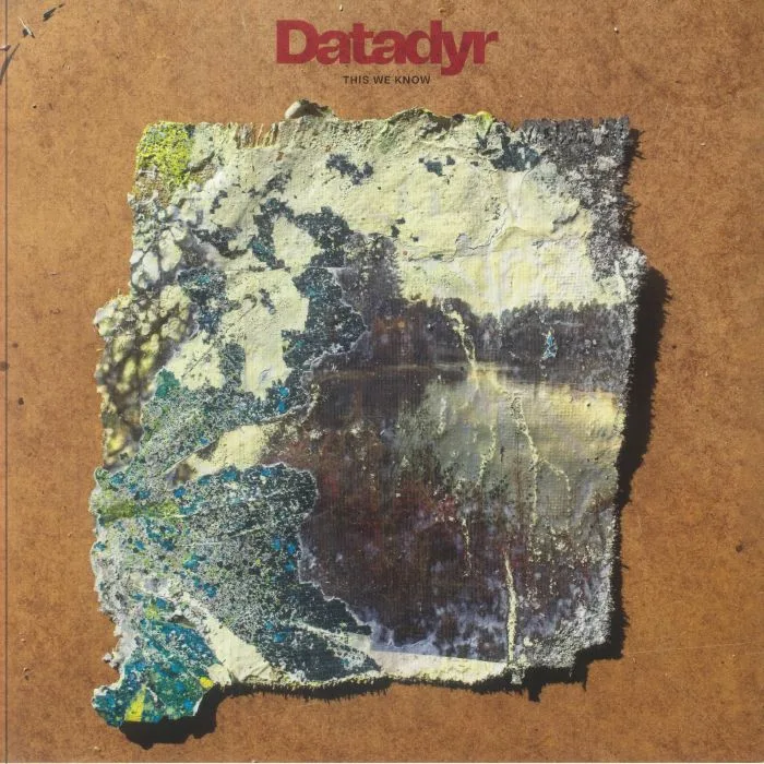 Лицевая сторона обложки — DATADYR — This We Know