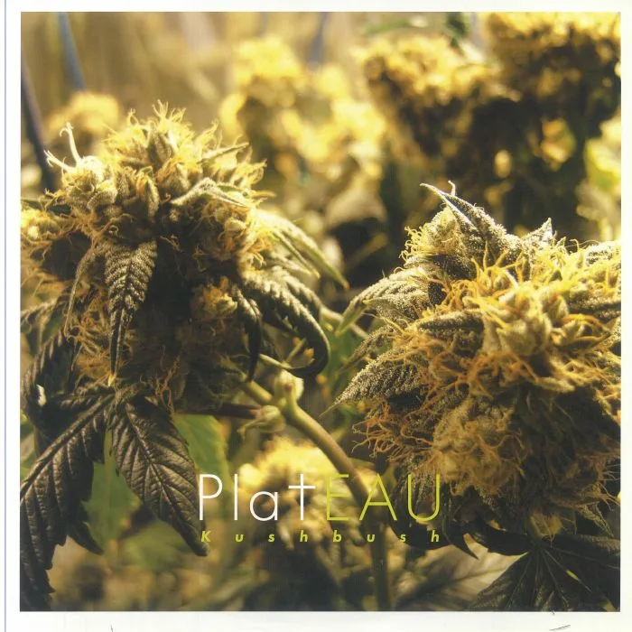 Front cover — PLATEAU — Kushbush
