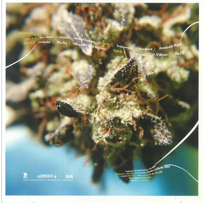 Back cover — PLATEAU — Kushbush