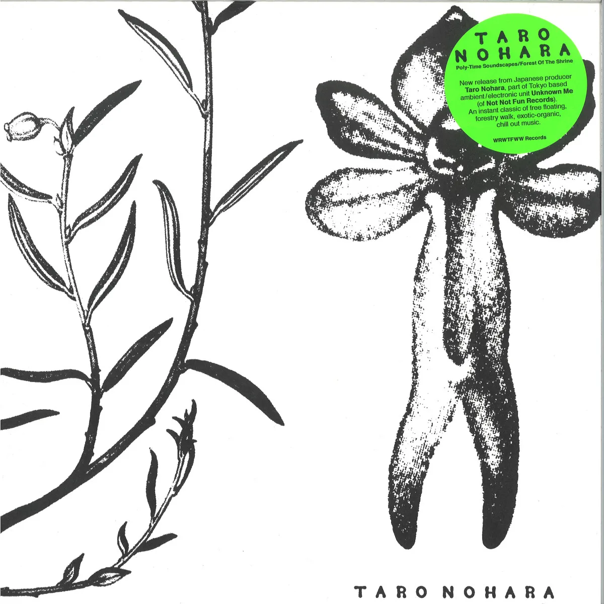 Taro Nohara — Poly-Time Soundscapes / Forest Of The Shrine LP