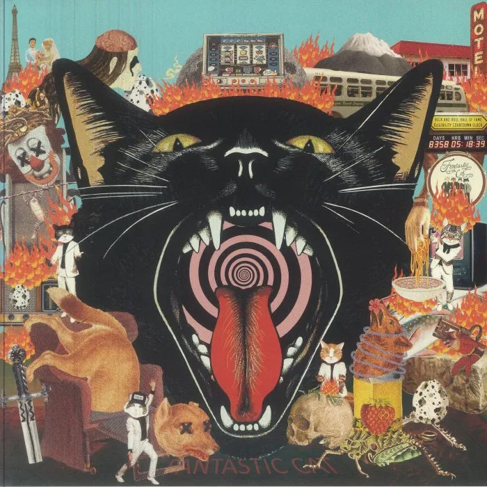 FANTASTIC CAT — Cat Out Of Hell