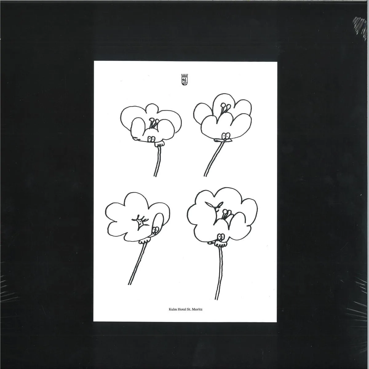 Lawrence — Poppies