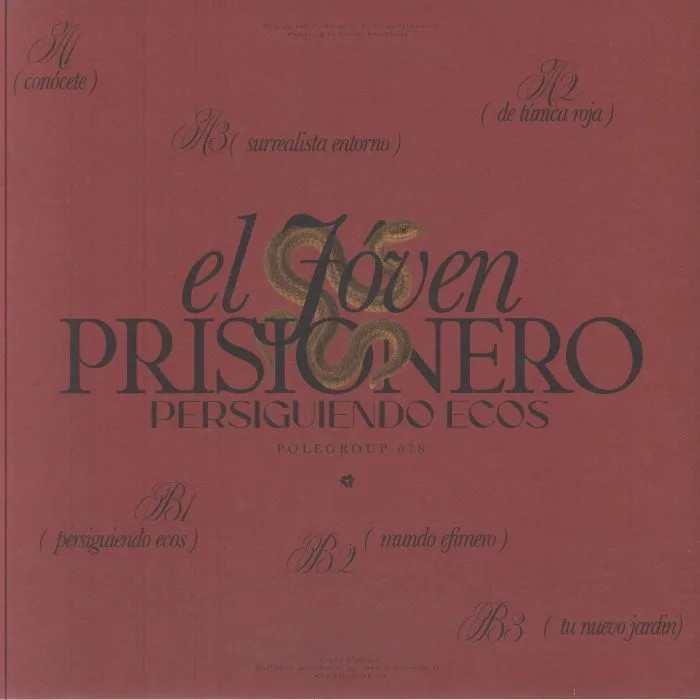 Back cover — JOVEN PRISIONERO — Persiguiendo Ecos EP