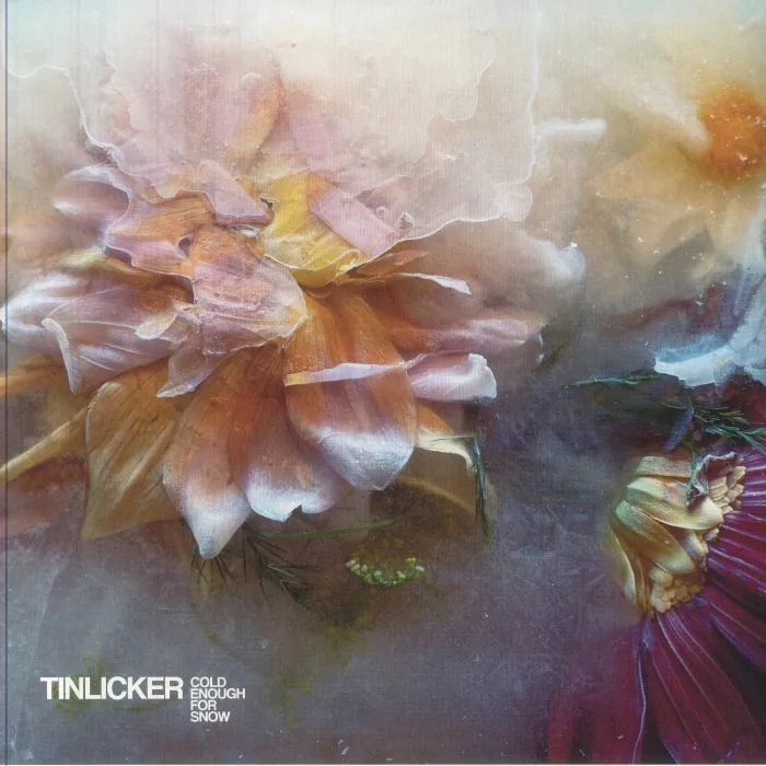 Лицевая сторона обложки — TINLICKER — Cold Enough For Snow