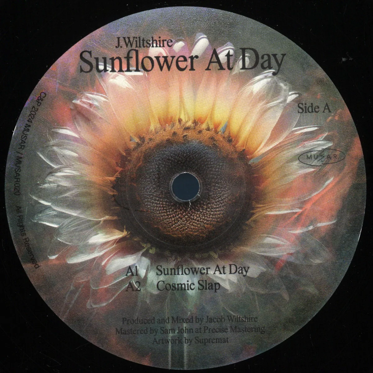 J.wiltshire — Sunflower At Day