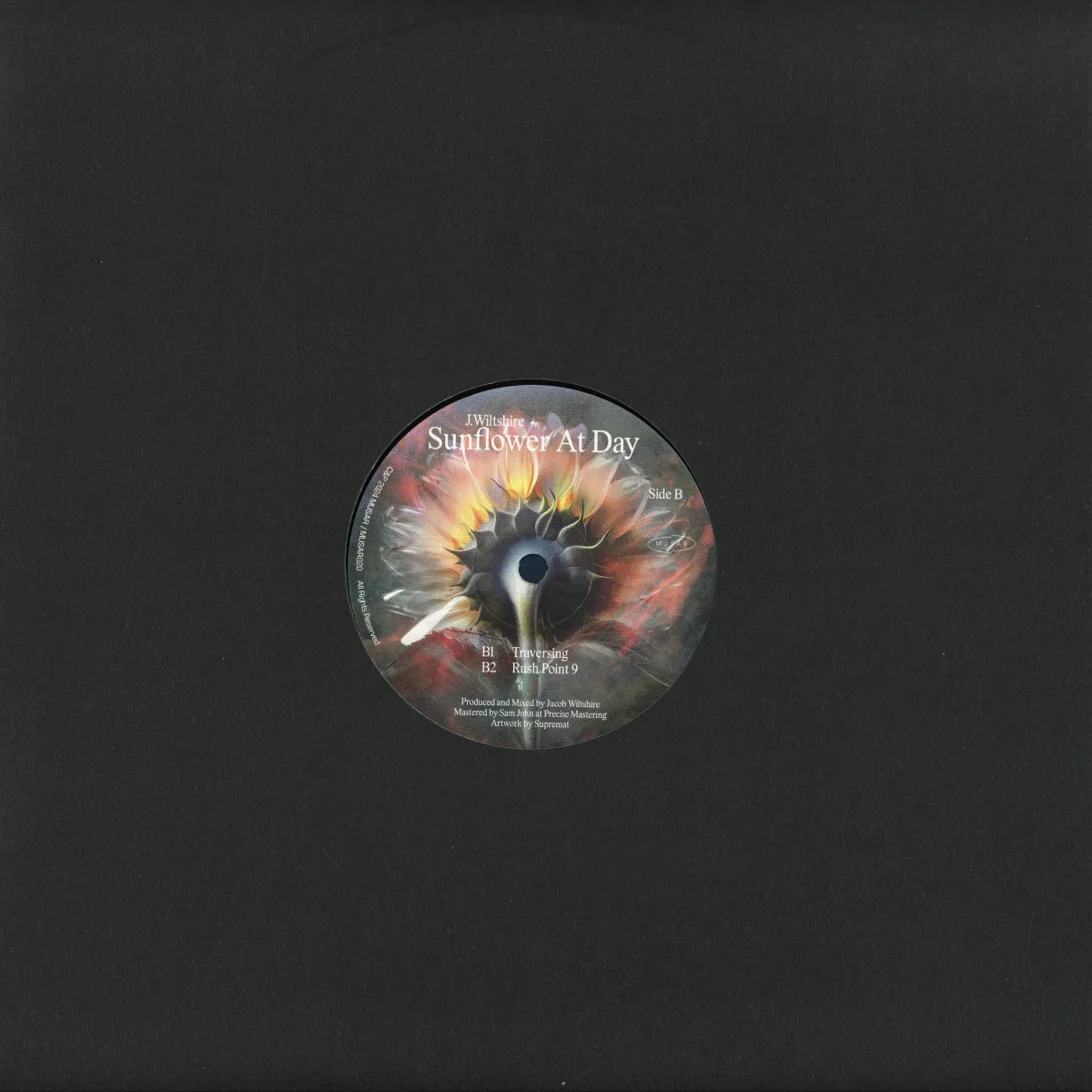 Back cover — J.wiltshire — Sunflower At Day