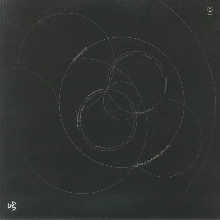 Back cover — Steve BICKNELL — Several Streams Of Thought