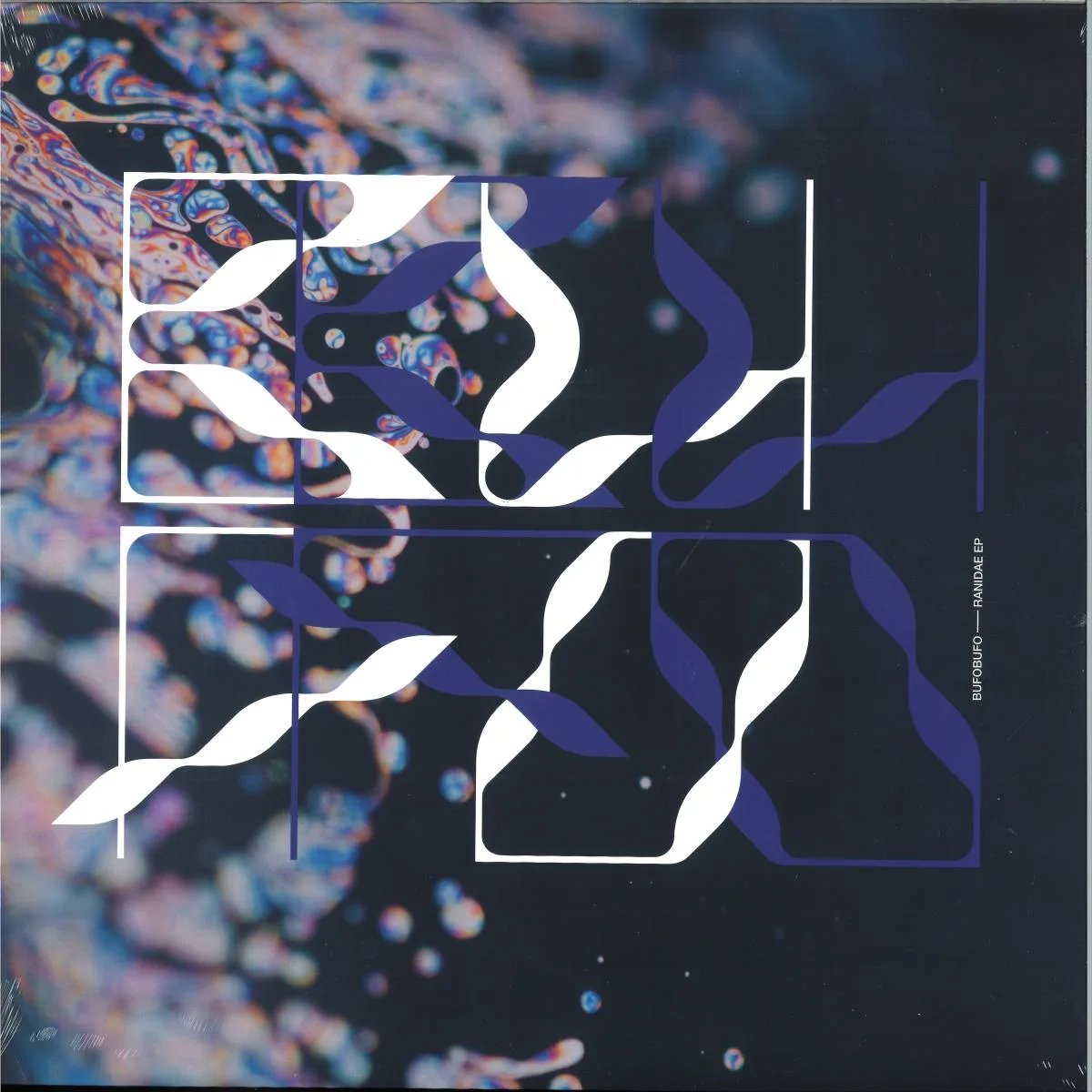 BufoBufo — Ranidae EP