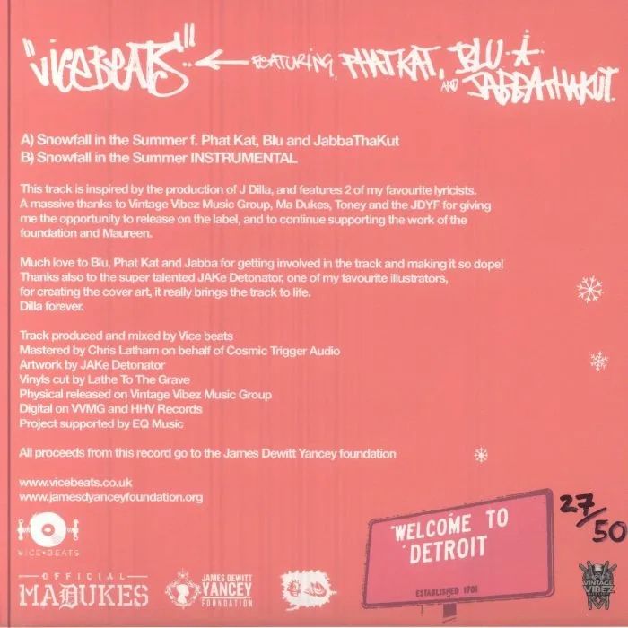 Back cover — VICE BEATS — Snowfall In The Summer